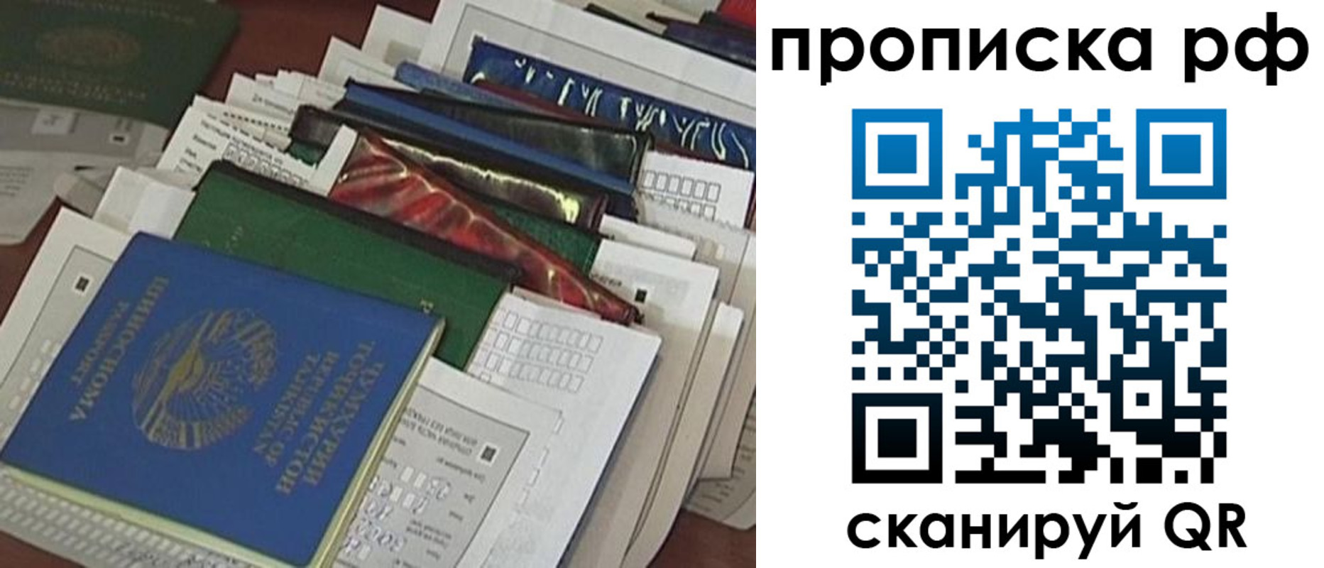 прописка в Коми